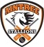 Aintree Stallions crest